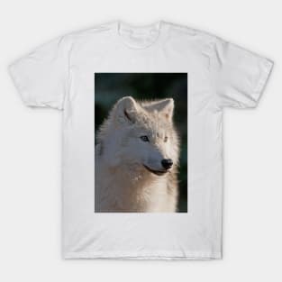 Arctic Wolf T-Shirt